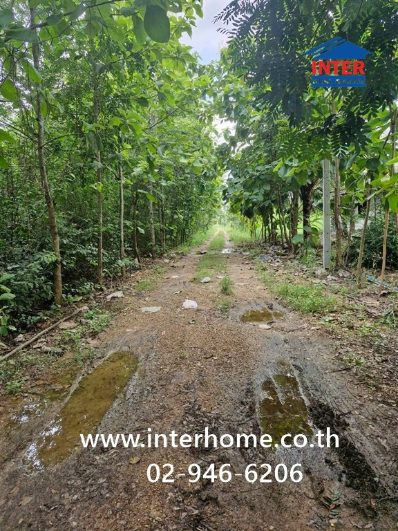 ที่ดินเปล่า 50 ตร.ว. ที่ดิน ซอยบ้านคลอง10 คลอง13 ถนนรังสิต-นครนายก ถนนเลียบคลอง10 หนองเสือ ปทุมธานี  – รูปที่ 4