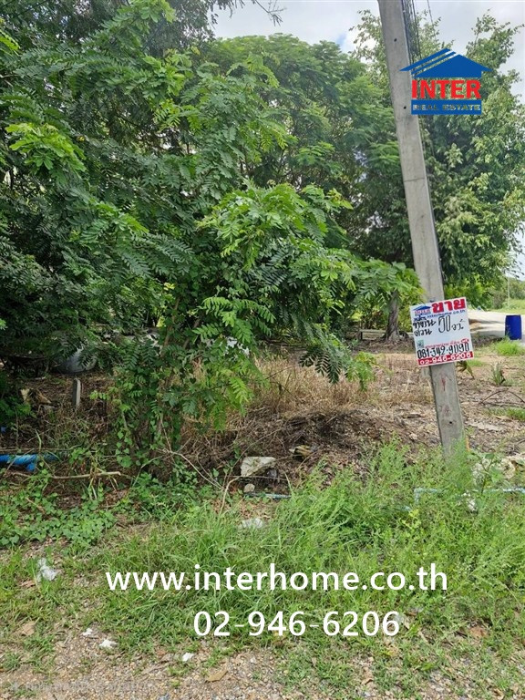 ที่ดินเปล่า 50 ตร.ว. ที่ดิน ซอยบ้านคลอง10 คลอง13 ถนนรังสิต-นครนายก ถนนเลียบคลอง10 หนองเสือ ปทุมธานี  – รูปที่ 3