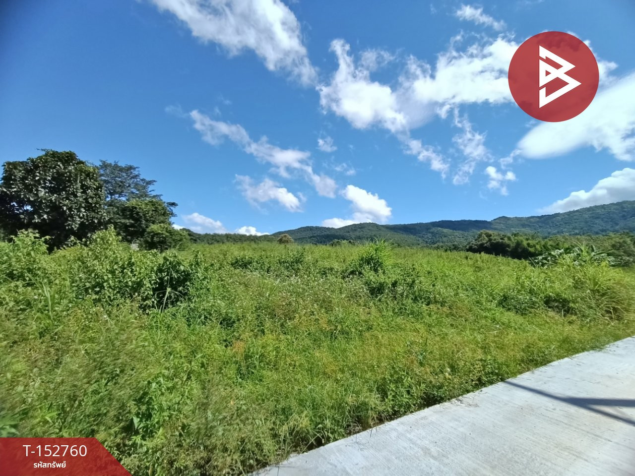 Land for sale, area 9 rai 97 sq m, Chiang Klang, Nan. – รูปที่ 3