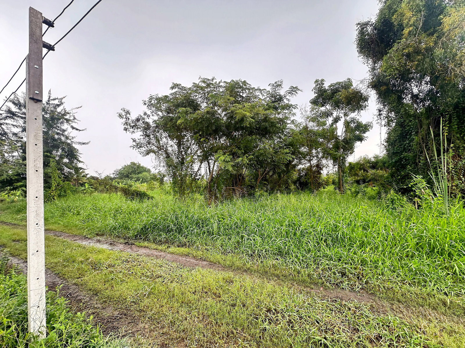 Empty land for sale, Soi Banchado 6, Khlong Sam Wa, Nimit Mai area, Bangkok, near Wat Sukjai Road, area 363 sq m. Price negotiable. – รูปที่ 2