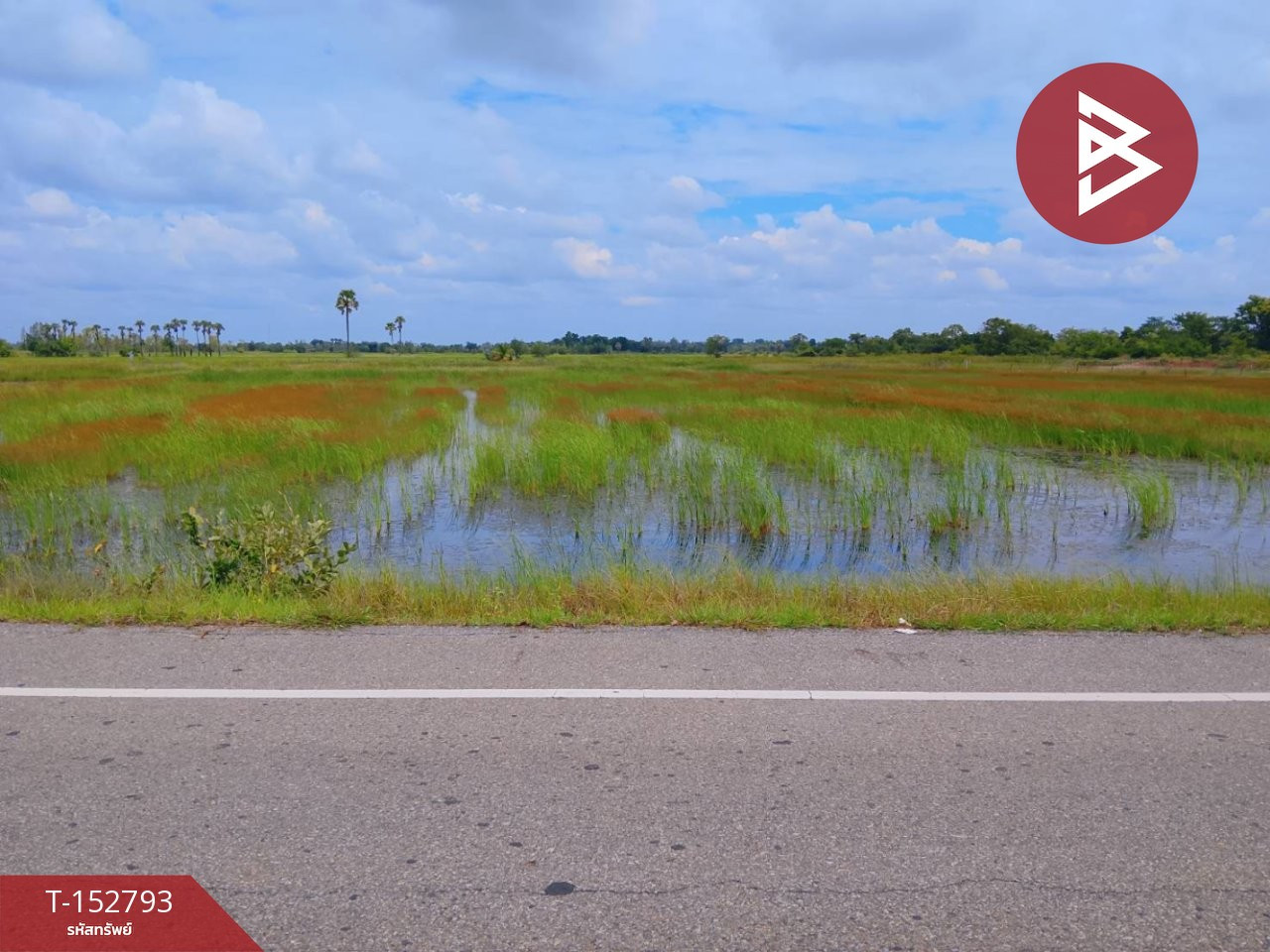 ขายที่ดิน เนื้อที่ 10 ไร่ สีดา นครราชสีมา – รูปที่ 2