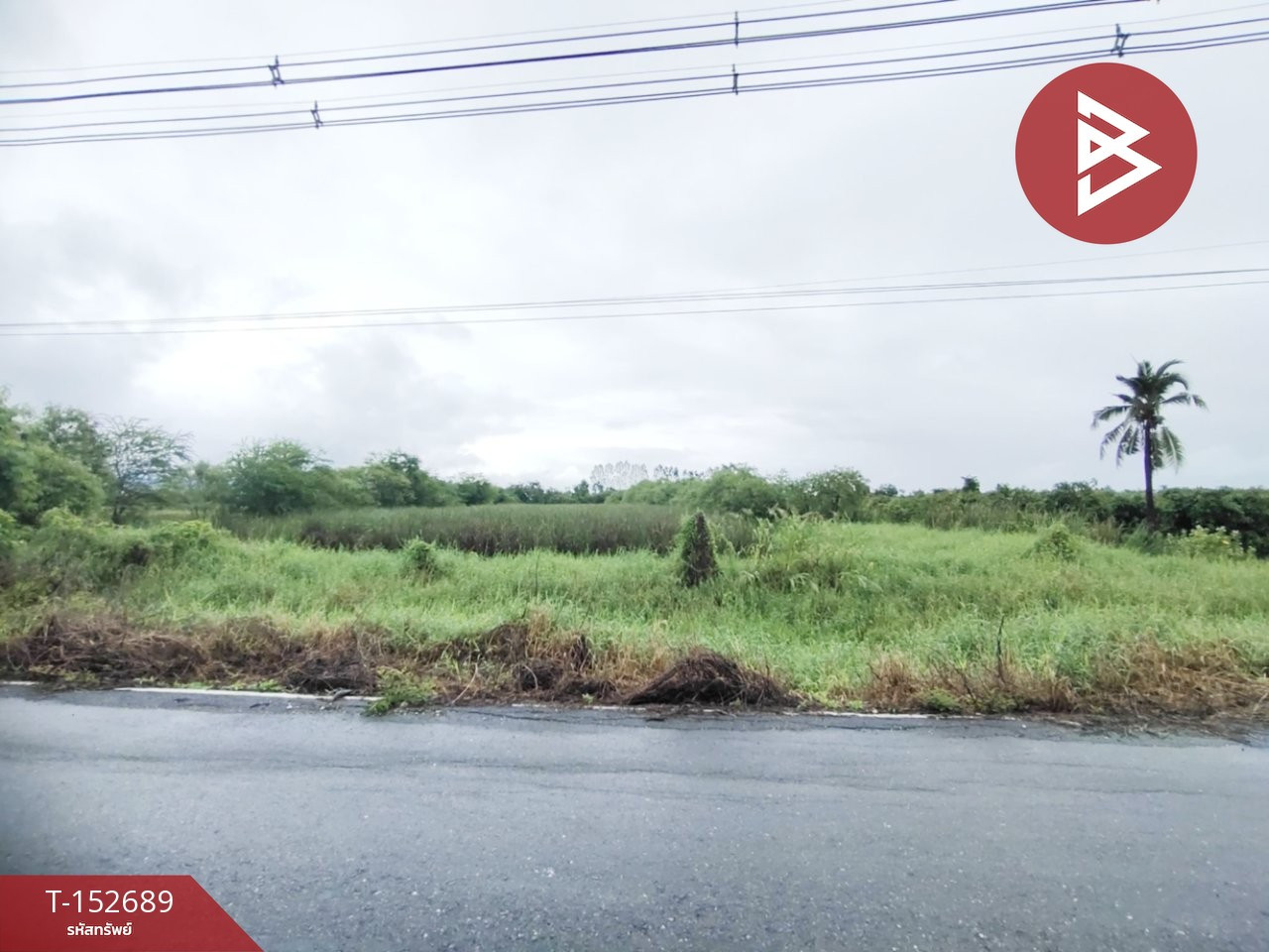 Land for sale, area 5 rai 84 square wa, Sam Chuk, Suphan Buri, good location. Land for sale, area 5 rai 84 square wa, Sam Chuk, Suphan Buri, good location.