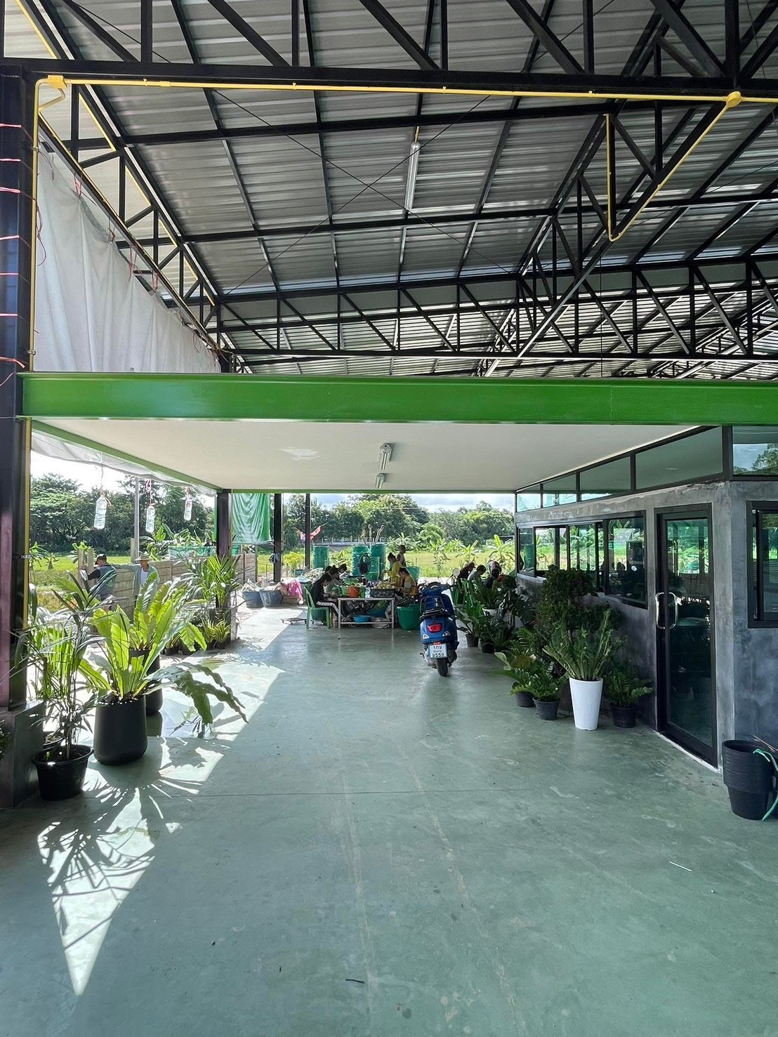 ขายโรงรานสับปะรด พร้อมสิ่งปลูกสร้าง ราคาถูกกว่าราคาประเมิน ใหญ่ที่สุด