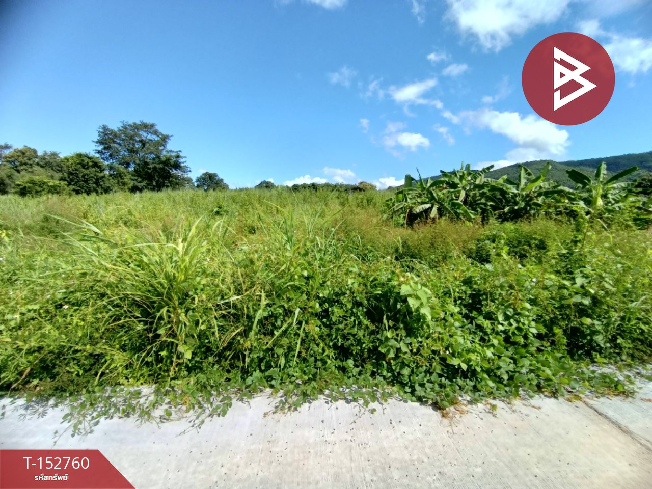 Land for sale, area 9 rai 97 sq m, Chiang Klang, Nan. – รูปที่ 2
