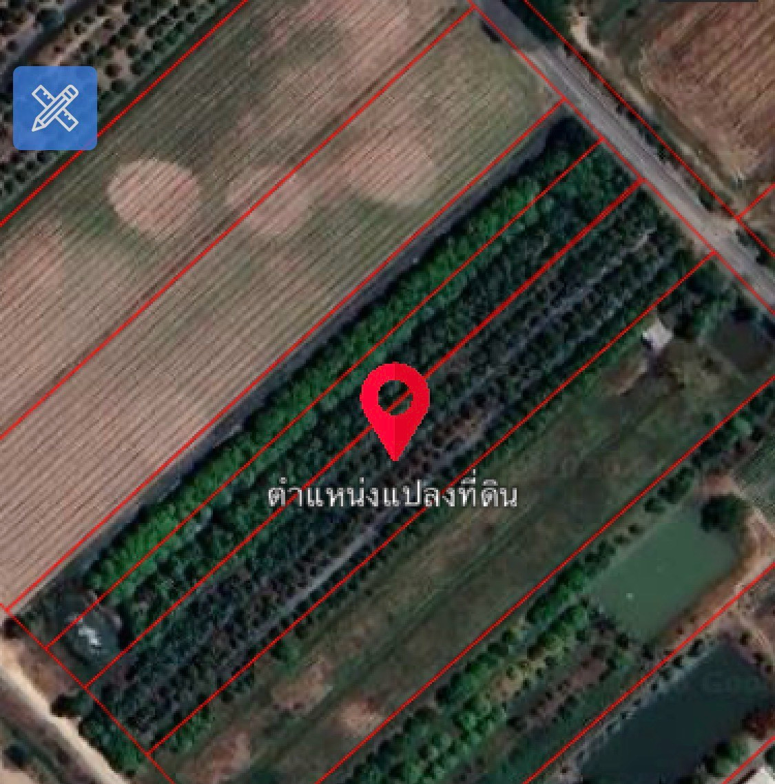 99751 - Land for sale with mango orchard (Nam Dok Mai), size 2 rai 2 ngan 92 sq m, ready to produce immediately (Sanam Khli Subdistrict, Mueang District, Suphanburi Province) 99751 - Land for sale with mango orchard (Nam Dok Mai), size 2 rai 2 ngan 92 sq m, ready to produce immediately (Sanam Khli Subdistrict, Mueang District, Suphanburi Province)