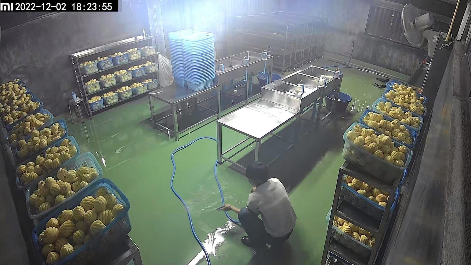 Pineapple factory for sale – รูปที่ 4