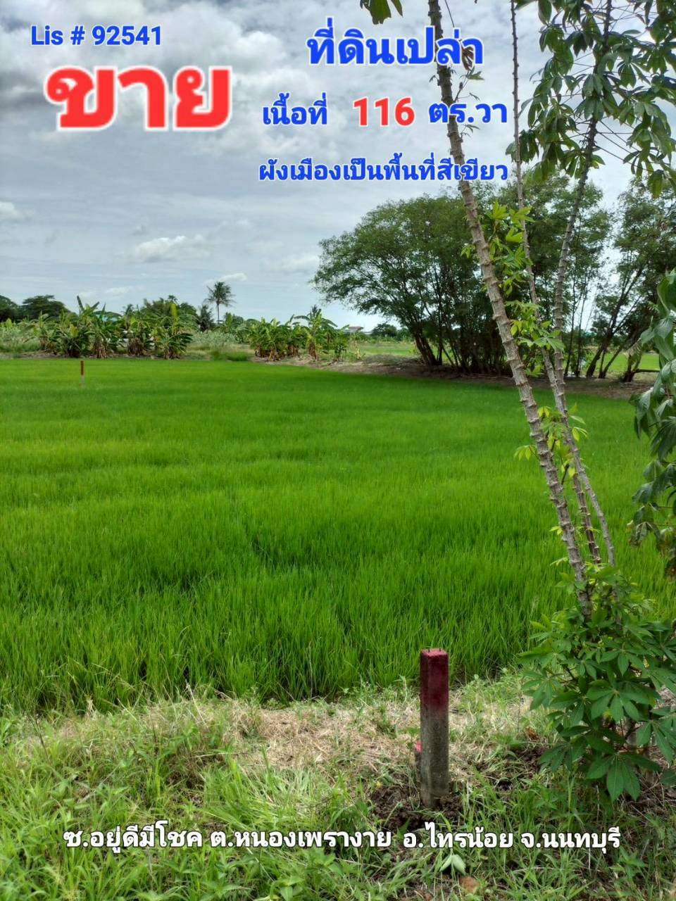 92541 - ขาย ที่ดินเปล่า ต.หนองเพรางาย อ.ไทรน้อย จ.นนทบุรี