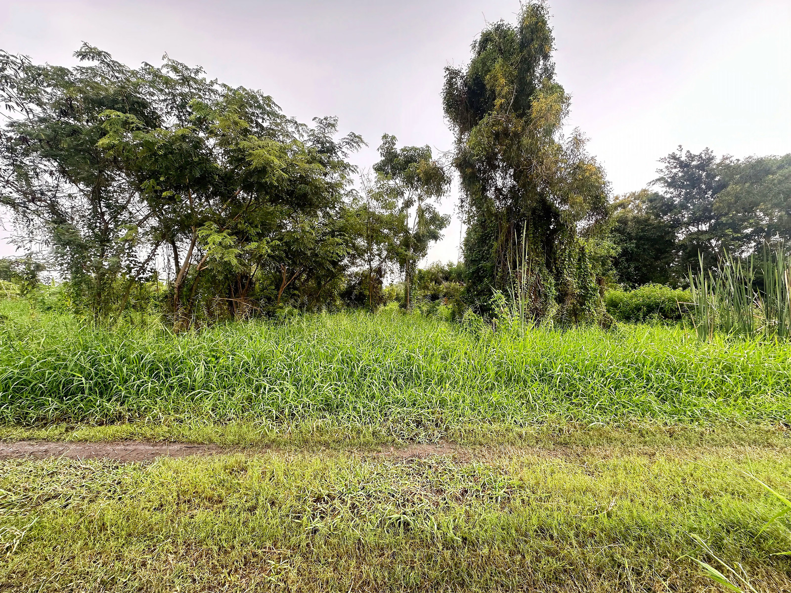 Empty land for sale, Soi Banchado 6, Khlong Sam Wa, Nimit Mai area, Bangkok, near Wat Sukjai Road, area 363 sq m. Price negotiable.