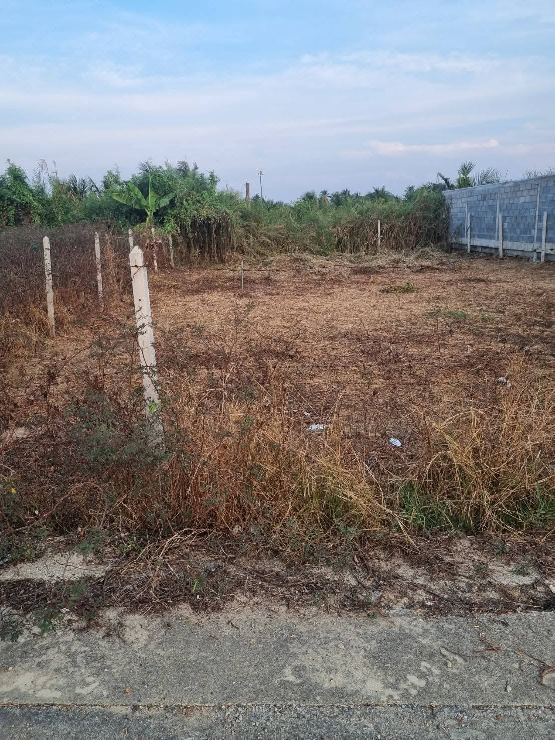 Beautiful land for sale, Hom Kret, Sam Phran, Nakhon Pathom, beautiful plot, 75.5 sq m, ready to build a house, price only 980,000 baht, free transfer fee. Beautiful land for sale, Hom Kret, Sam Phran, Nakhon Pathom, beautiful plot, 75.5 sq m, ready to build a house, price only 980,000 baht, free transfer fee.