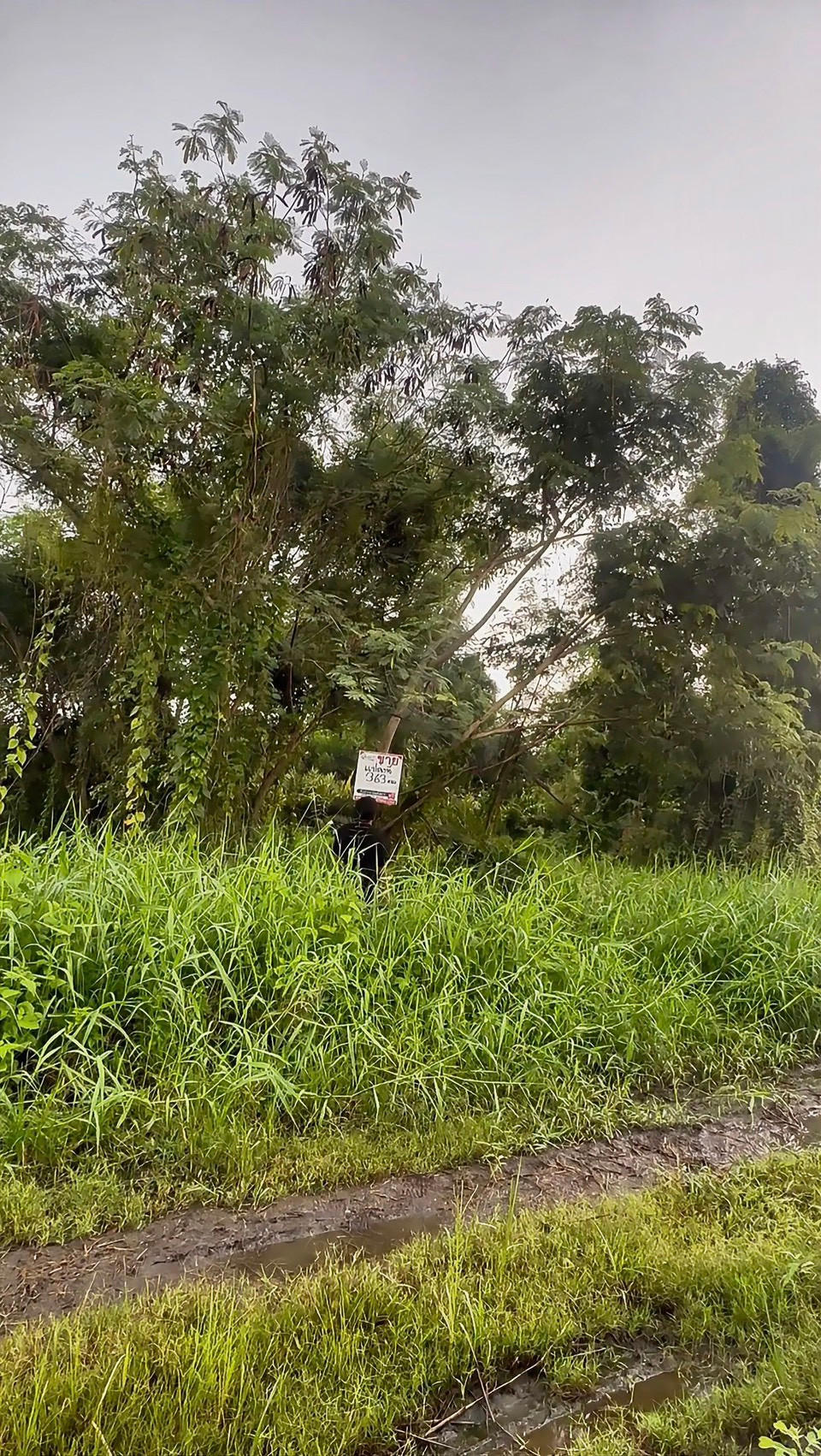 Empty land for sale, Soi Banchado 6, Khlong Sam Wa, Nimit Mai area, Bangkok, near Wat Sukjai Road, area 363 sq m. Price negotiable. – รูปที่ 3
