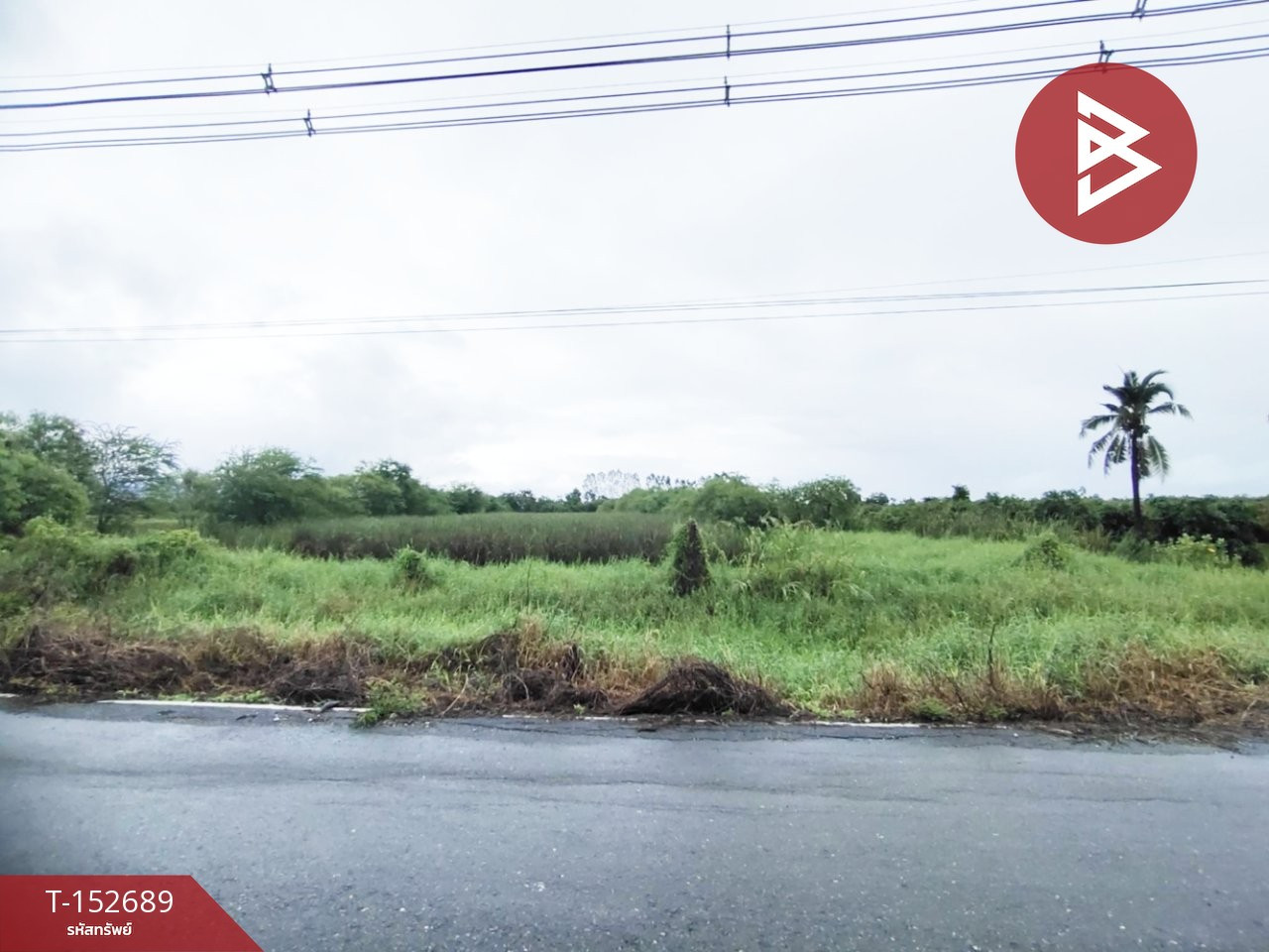 ขายที่ดิน เนื้อที่ 5 ไร่ 84 ตารางวา สามชุก สุพรรณบุรี ทำเลดี – รูปที่ 2