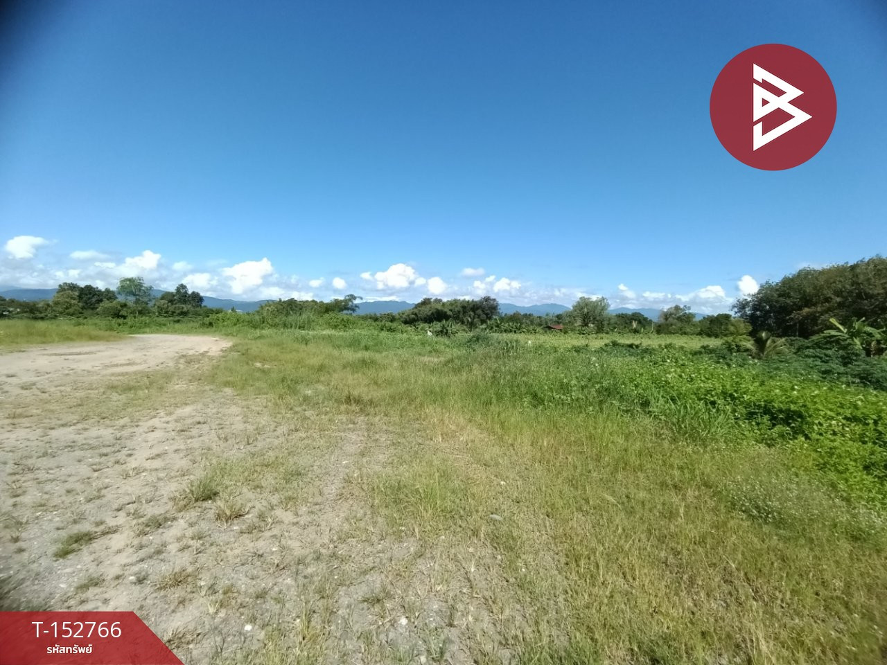 ขายที่ดิน เนื้อที่ 18 ไร่ 1 งาน 38.7 ตร.วา เชียงกลาง น่าน – รูปที่ 3