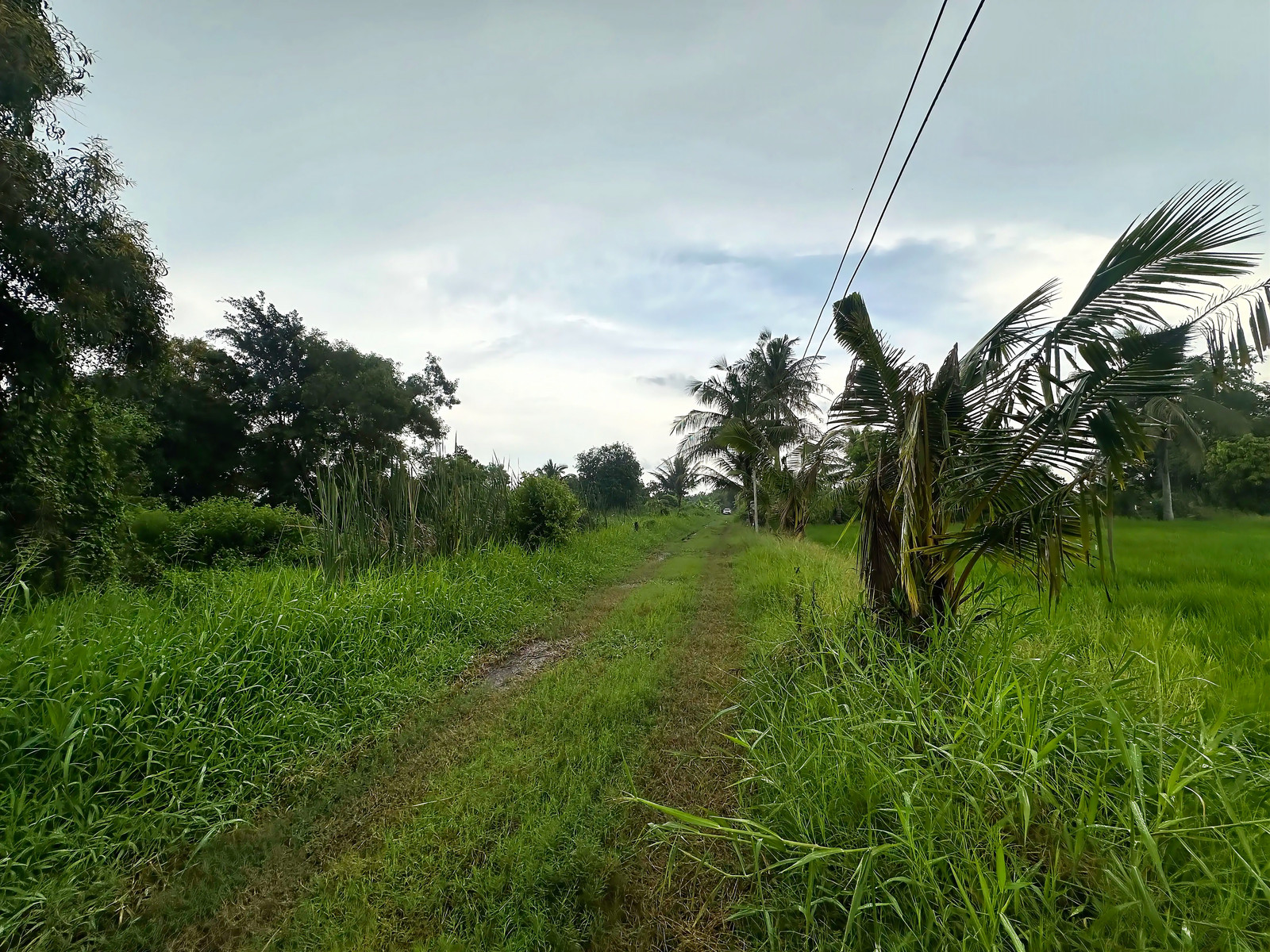 Empty land for sale, Soi Banchado 6, Khlong Sam Wa, Nimit Mai area, Bangkok, near Wat Sukjai Road, area 363 sq m. Price negotiable. – รูปที่ 4