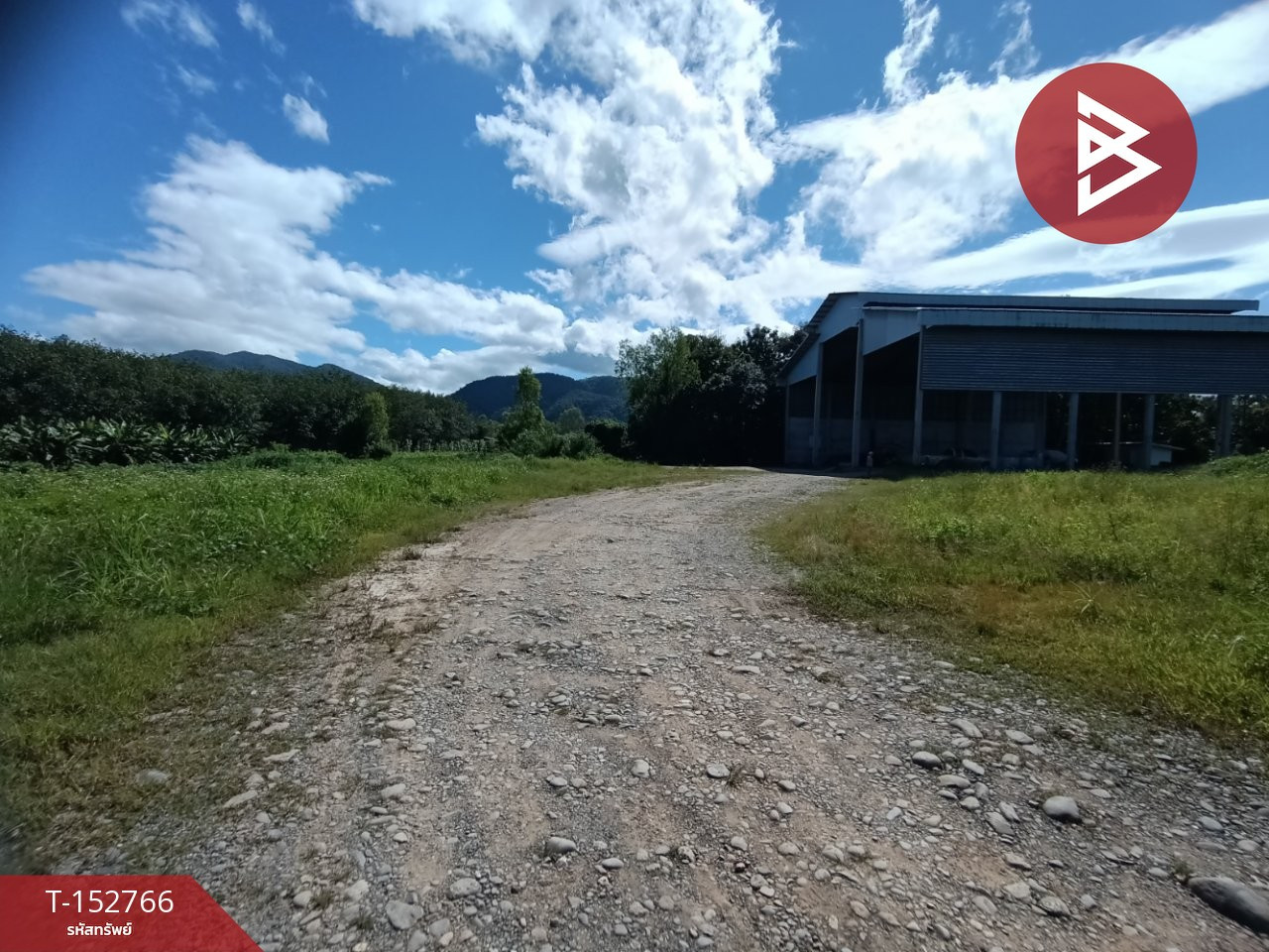ขายที่ดิน เนื้อที่ 18 ไร่ 1 งาน 38.7 ตร.วา เชียงกลาง น่าน – รูปที่ 4