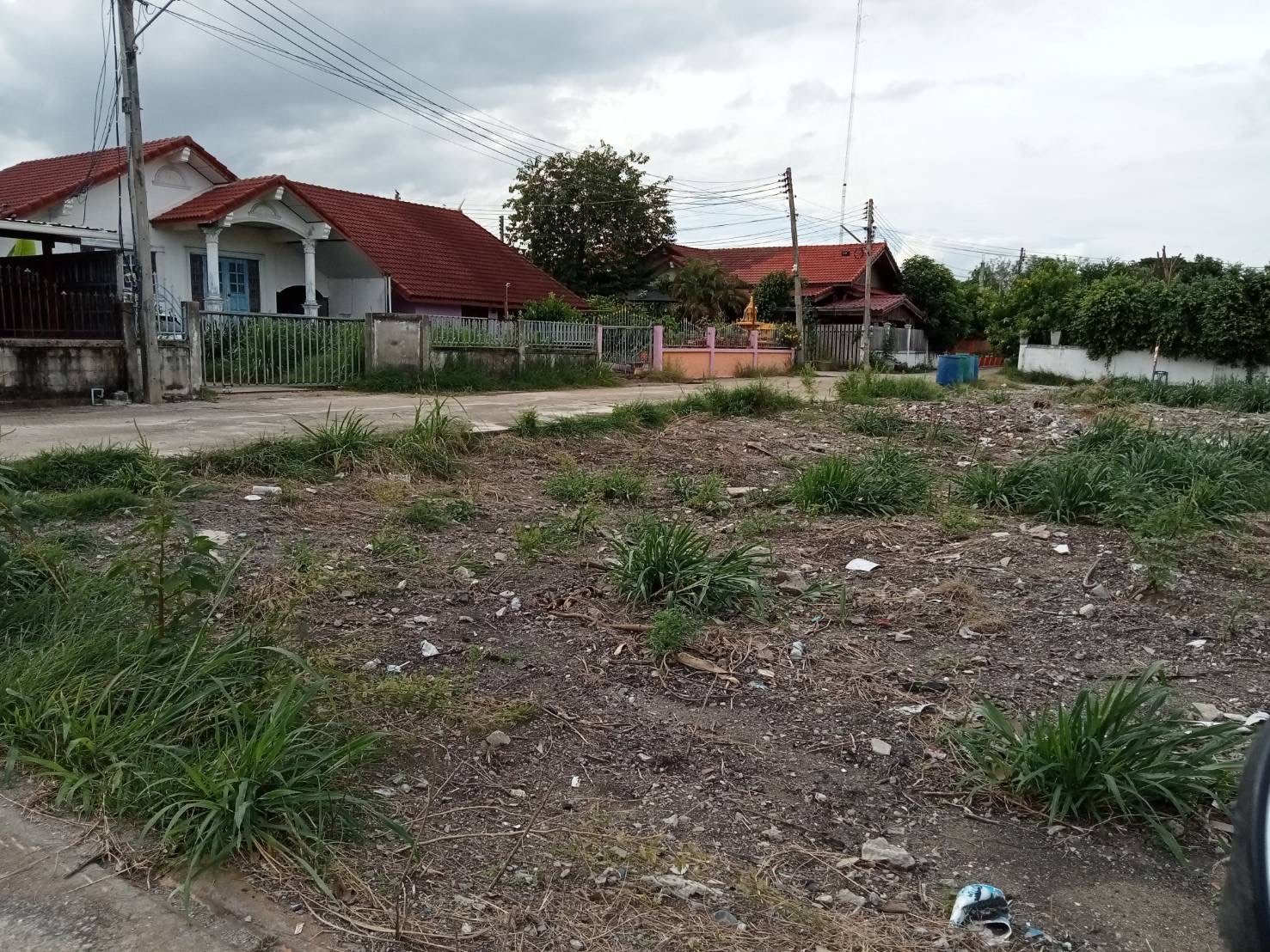 Urgent sale 200 sq m, Ban Mo, Saraburi (land filled in, ready to build a house) – รูปที่ 2