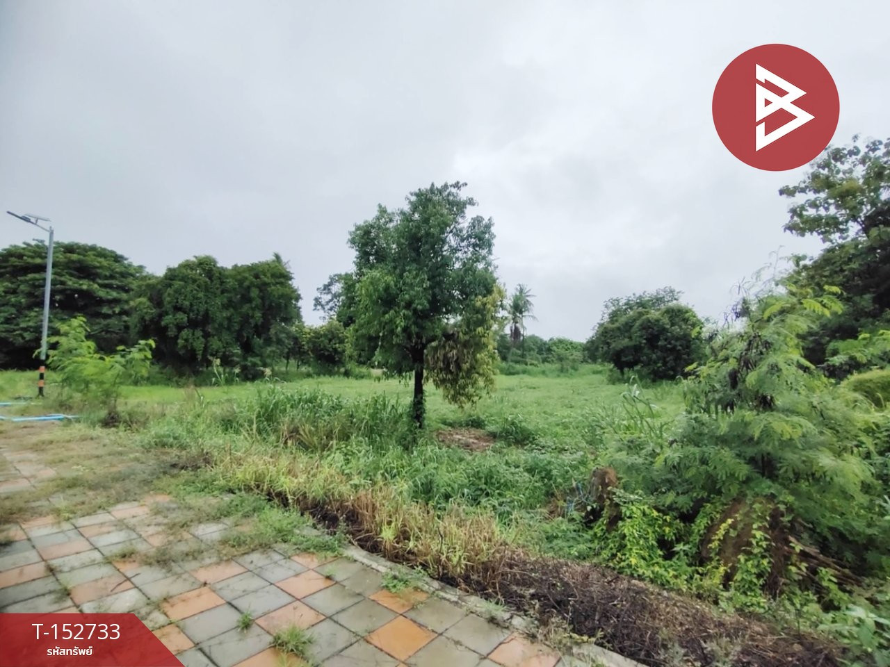 Land for sale, area 2 rai 1 ngan 76 sq m, Sam Chuk, Suphanburi. Land for sale, area 2 rai 1 ngan 76 sq m, Sam Chuk, Suphanburi.