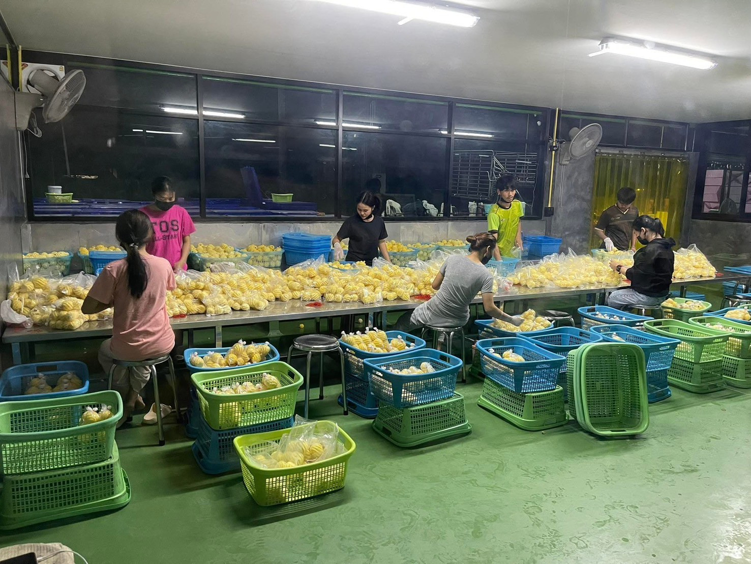 Pineapple factory for sale – รูปที่ 2