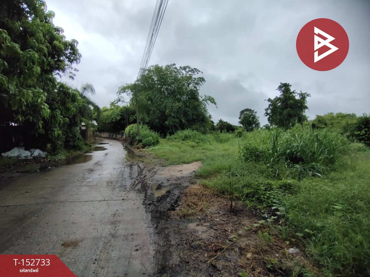 ขายที่ดิน เนื้อที่ 2 ไร่ 1 งาน 76 ตร.วา สามชุก สุพรรณบุรี – รูปที่ 3