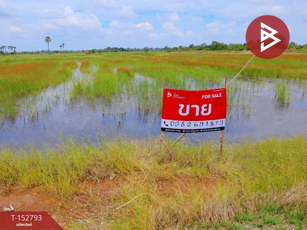ขายที่ดิน เนื้อที่ 10 ไร่ สีดา นครราชสีมา