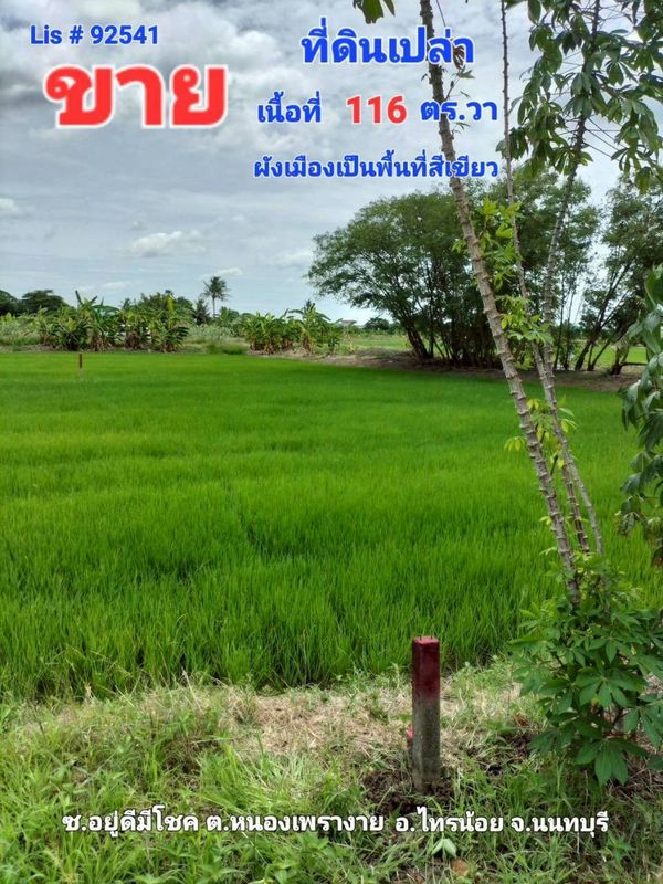 92541 - ขาย ที่ดินเปล่า ต.หนองเพรางาย อ.ไทรน้อย จ.นนทบุรี