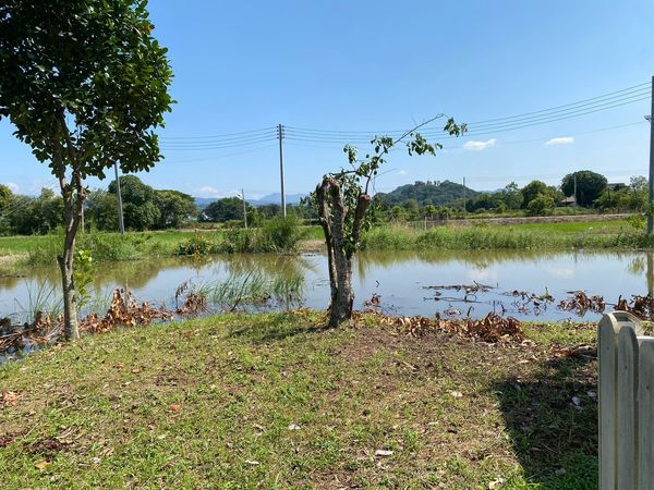 98421 - Land for sale, 1 rai, with already planted trees, Sarika Subdistrict, Mueang District, Nakhon Nayok Province.