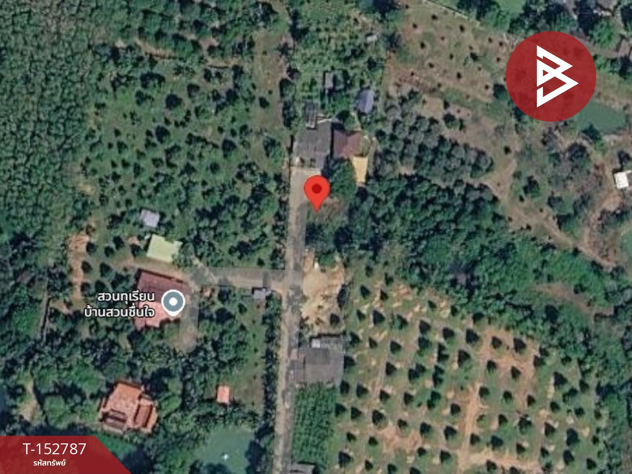 ขายที่ดิน เนื้อที่ 2 งาน แกลง ระยอง – รูปที่ 2