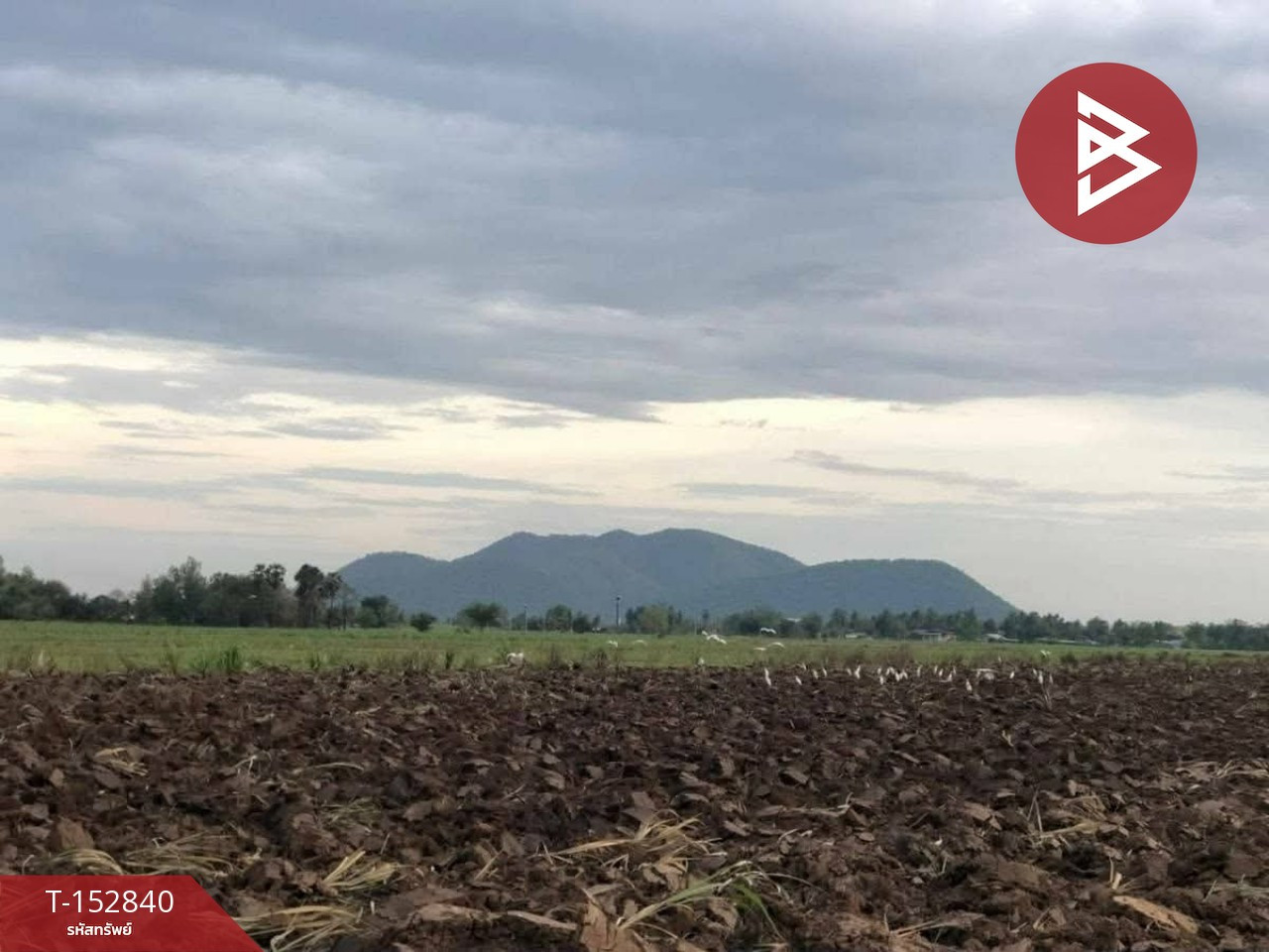Land for sale, area 1 rai, Photharam, Ratchaburi