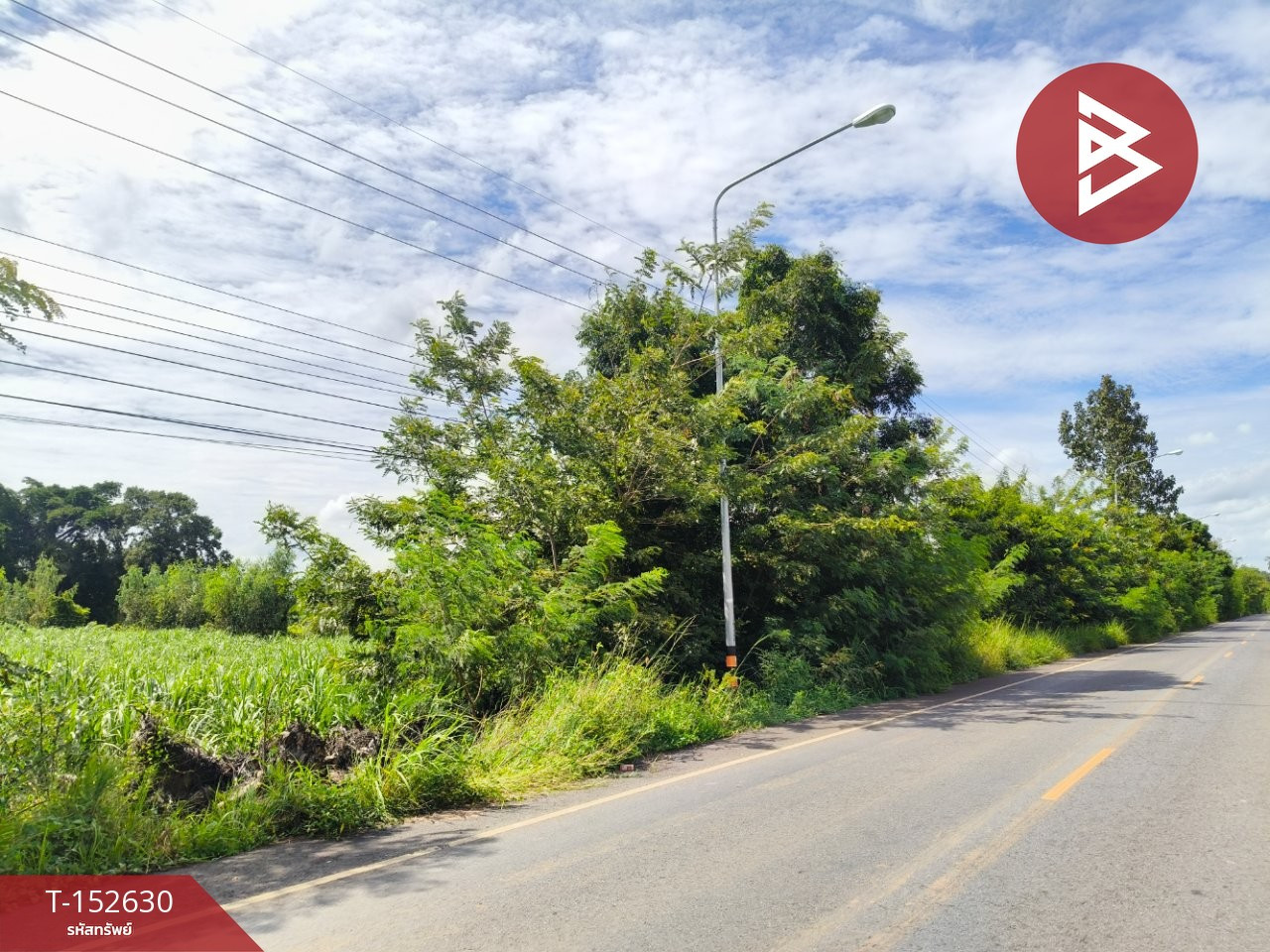 Land for sale, area 21 rai 3 ngan 89 sq m, Prakhon Chai, Buriram. – รูปที่ 4