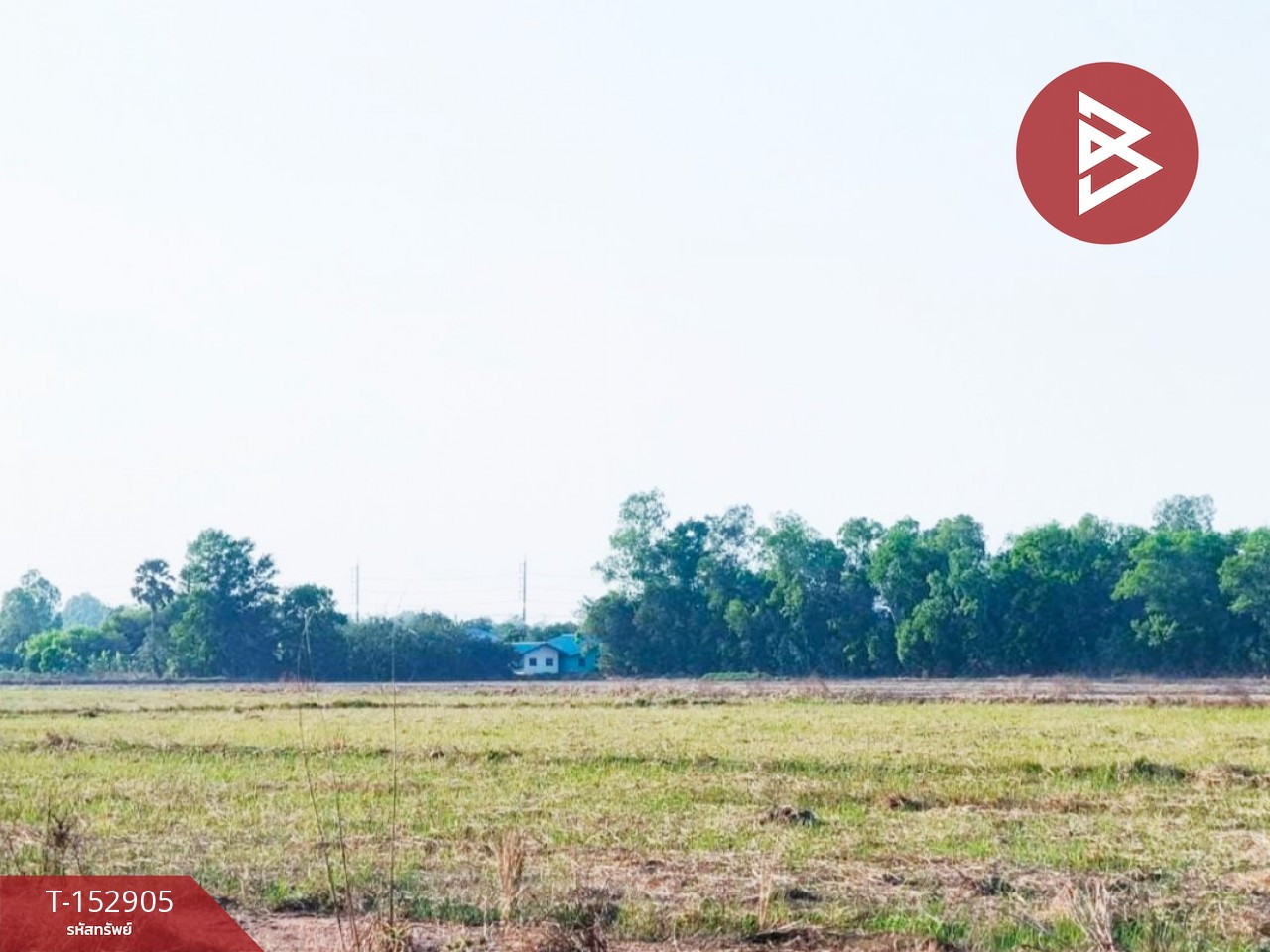 ขายที่ดิน เนื้อที่ 25 ไร่ 2 งาน 93 ตร.วา วังกระโจม นครนายก – รูปที่ 2