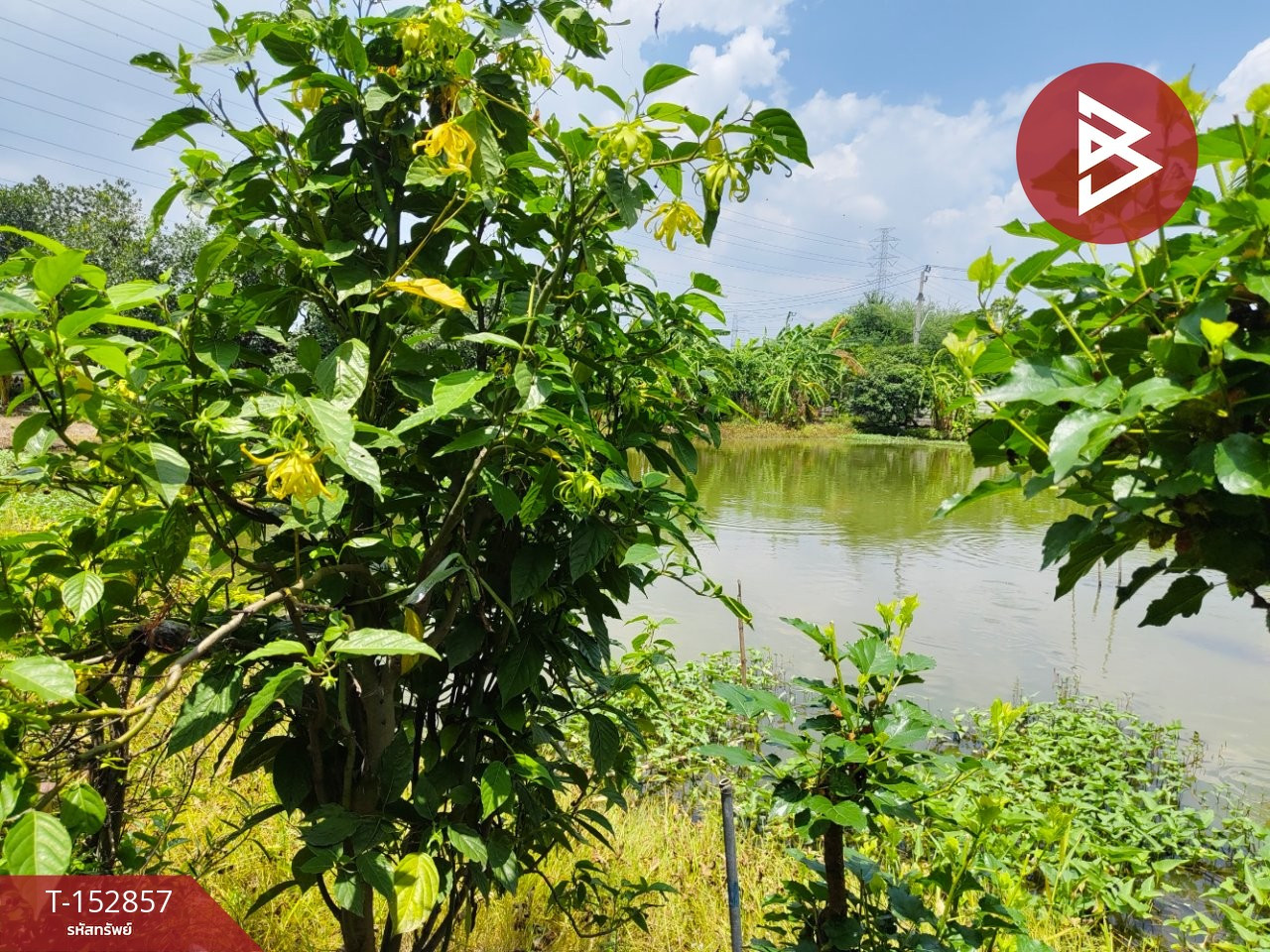 ขายที่ดิน เนื้อที่ 2 ไร่ บางพลี สมุทรปราการ – รูปที่ 4