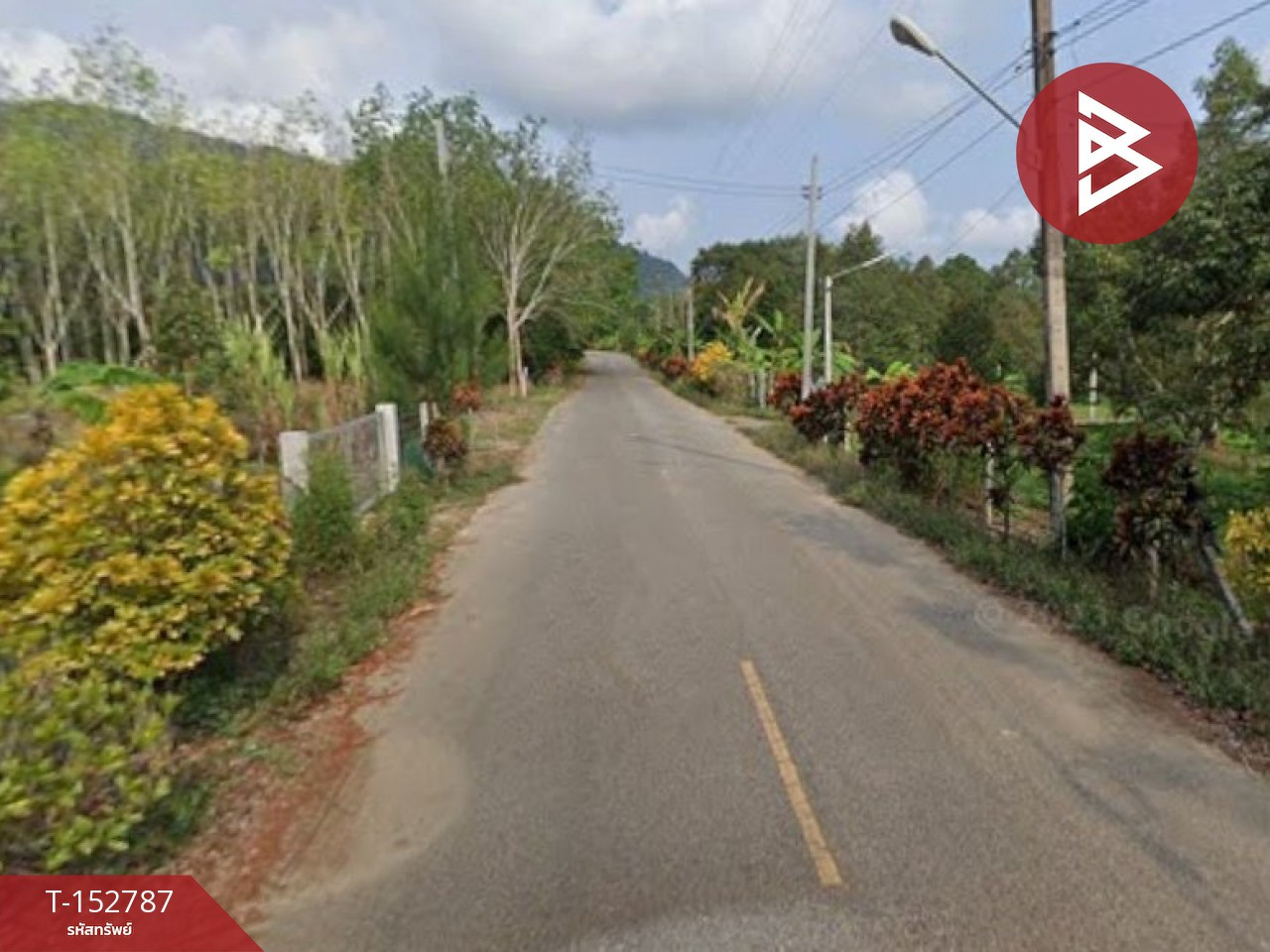 ขายที่ดิน เนื้อที่ 2 งาน แกลง ระยอง – รูปที่ 4