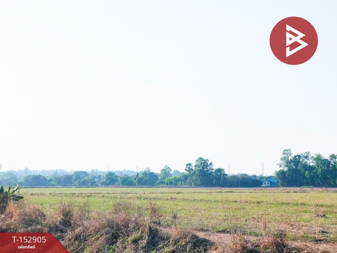 ขายที่ดิน เนื้อที่ 25 ไร่ 2 งาน 93 ตร.วา วังกระโจม นครนายก – รูปที่ 3