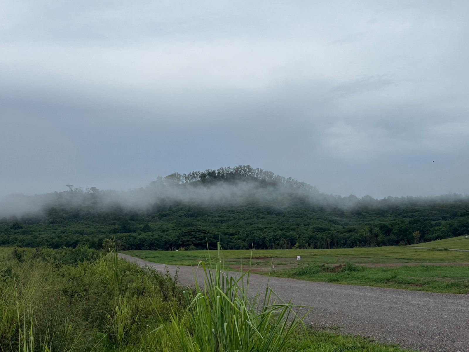 ที่ดินเขาใหญ่เนินสวย5ไร่ 