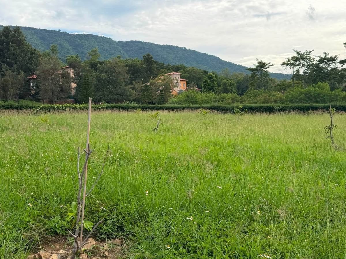 ขายที่ดิน toscane ราคาดีสุด – รูปที่ 3