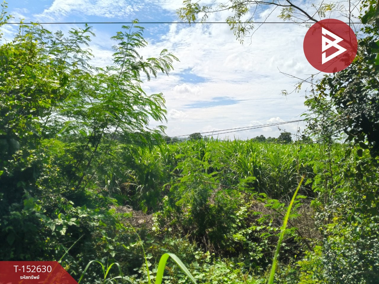 Land for sale, area 21 rai 3 ngan 89 sq m, Prakhon Chai, Buriram. – รูปที่ 3