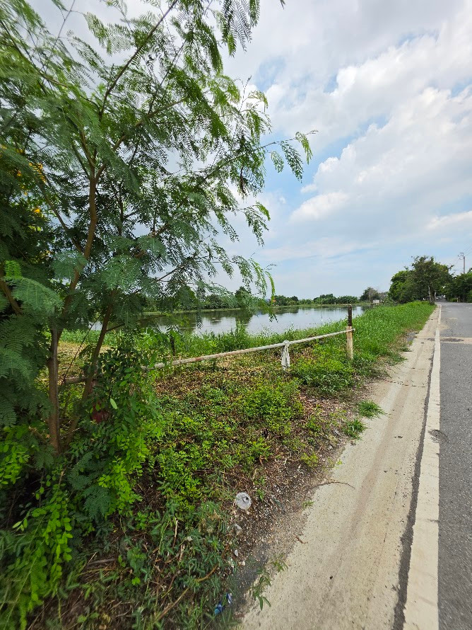 ขายที่ดินสมุทรปราการ แปลงใหญ่ 8 ไร่ 42 ตร.ว. ถนนแพรกษา อำเภอเมือง ผังสีเหลือง – รูปที่ 3