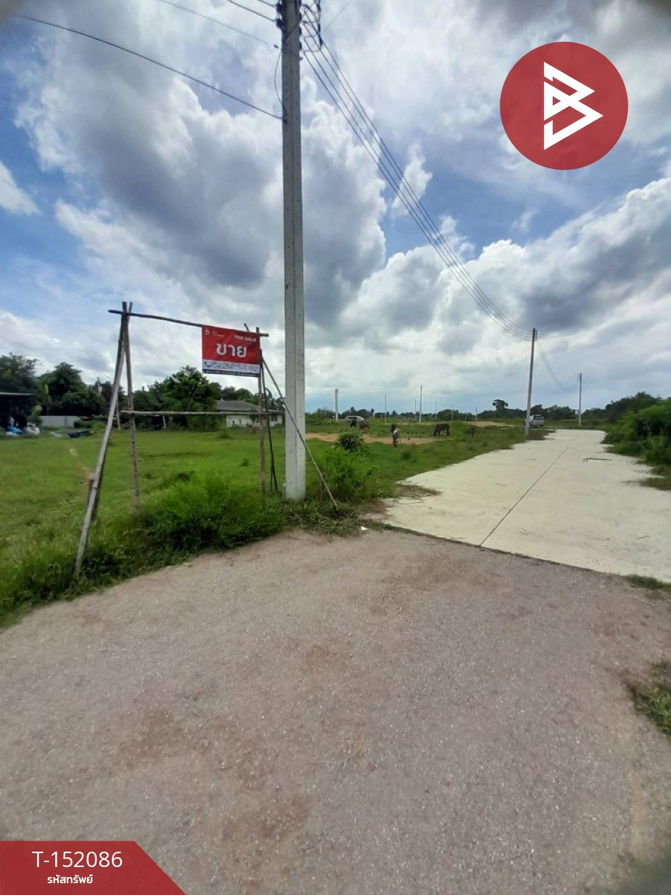 Land for sale, area 2 rai 1 ngan 23 sq m, Chedi Hak, Ratchaburi