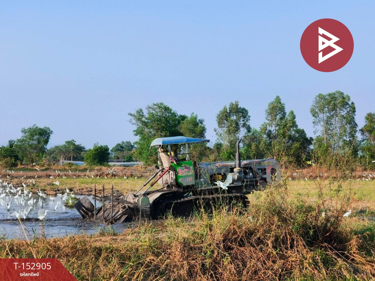 ขายที่ดิน เนื้อที่ 25 ไร่ 2 งาน 93 ตร.วา วังกระโจม นครนายก – รูปที่ 4