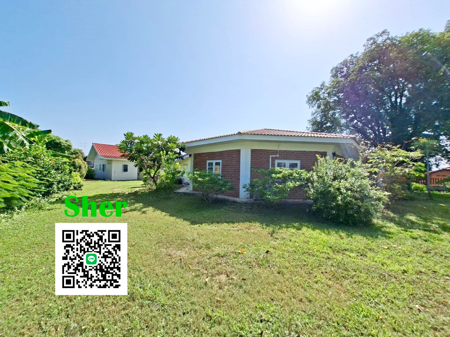 Detached house on a large land Detached house on a large land
