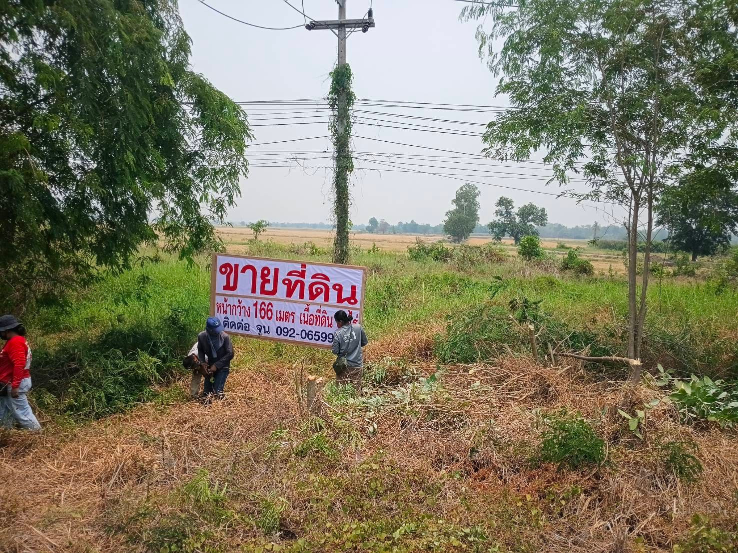 ขายที่ดิน 3 ไร่ ติดสายเอเชีย หางน้ำสาคร ชัยนาท หน้ากว้าง 166 ม. – รูปที่ 3