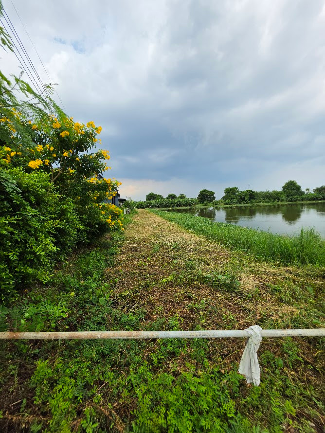 ขายที่ดินสมุทรปราการ แปลงใหญ่ 8 ไร่ 42 ตร.ว. ถนนแพรกษา อำเภอเมือง ผังสีเหลือง – รูปที่ 4