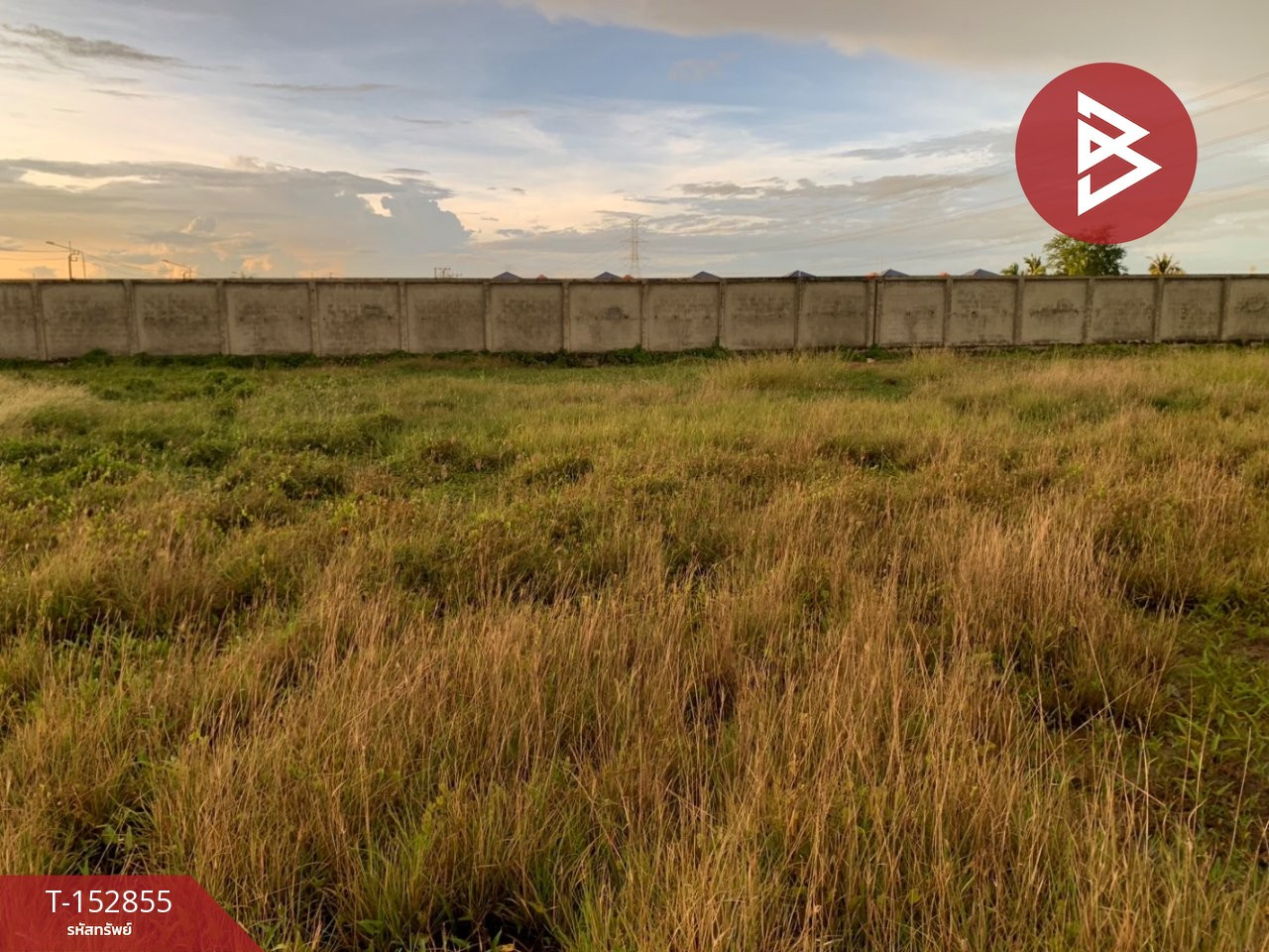 Beautiful plot of land for sale, area 2 rai 1 ngan, Bang Yai District, Nonthaburi, next to the road, good location. – รูปที่ 2