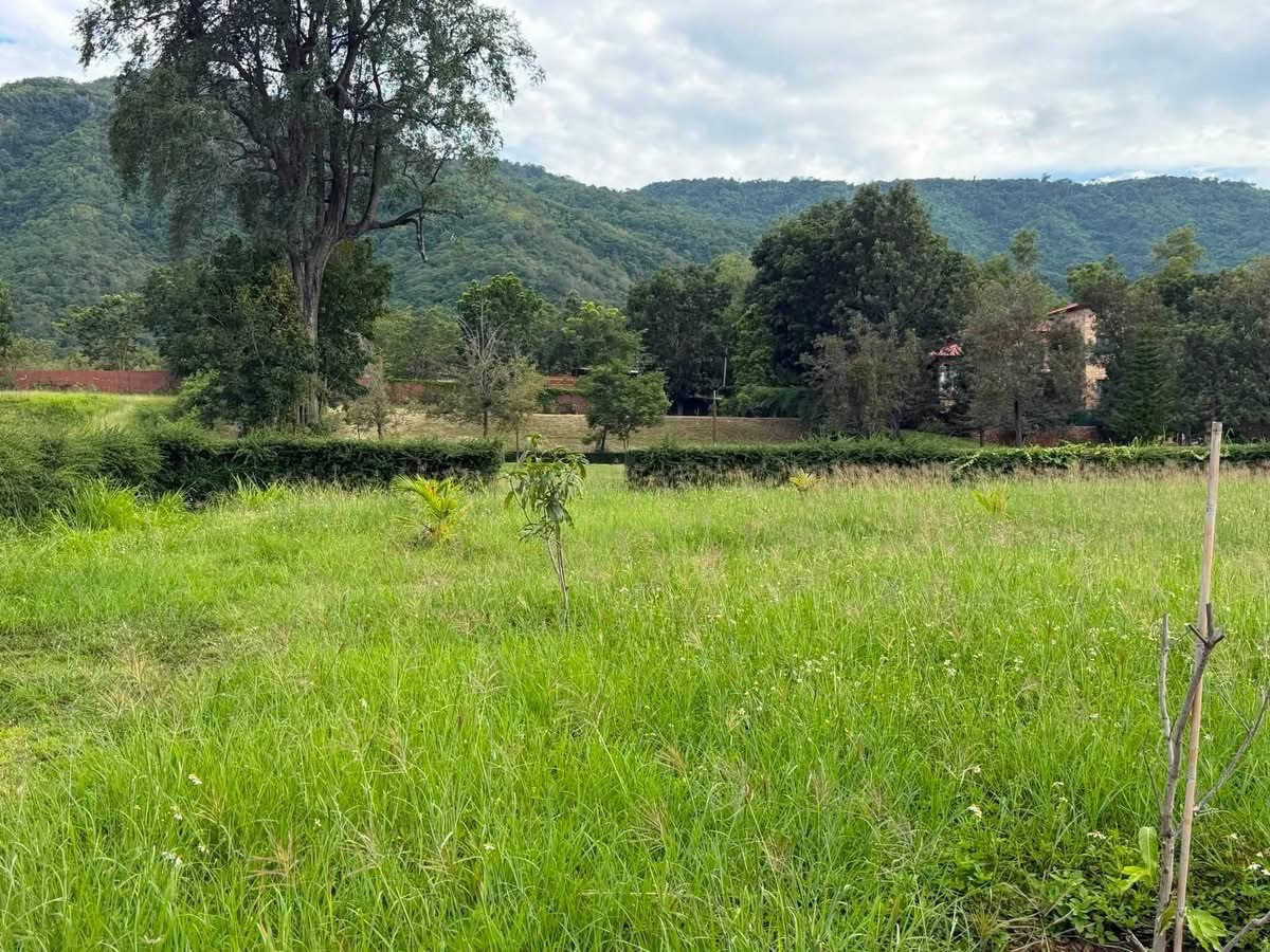 ขายที่ดิน toscane ราคาดีสุด – รูปที่ 4