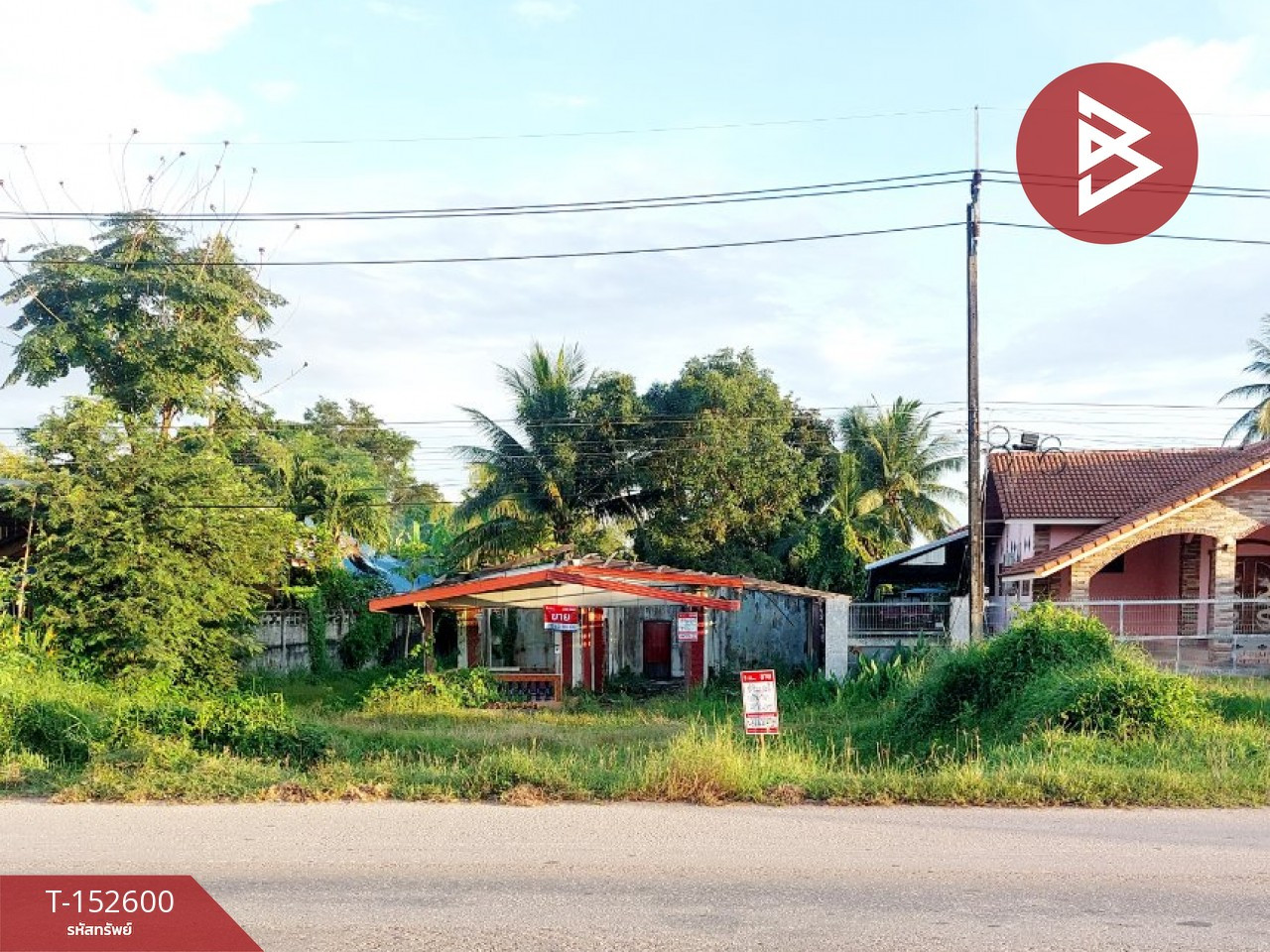 ขายที่ดินติดทางหลวง 27 ไร่ 63 ตร.วา บ้านต้อน รัตนวาปี หนองคาย – รูปที่ 2