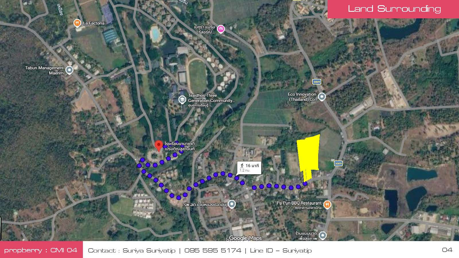 ขายที่ดินผังสีเขียว ถนน 3009 ใกล้โรงเรียนนานาชาติเปรมติณสูลานนท์ แม่ริม เชียงใหม่ เนื้อที่ 7-0-95 ไร่ – รูปที่ 4