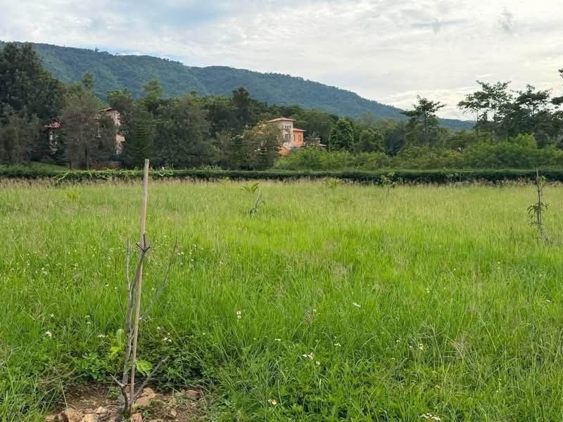 ขายที่ดิน toscane ราคาดีสุด ขายที่ดิน toscane ราคาดีสุด