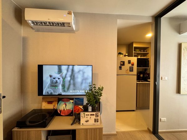 Pet-Friendly🐱🐶 THE BASE RATCHADA 19 🌃1 Bedroom | 24.11 sq.m. 💰 starting at only 2.509 MB* ☎️0646428664 Phat