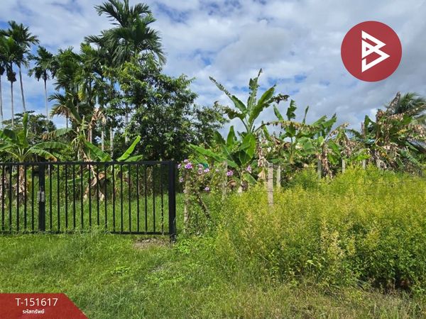 Land for sale, area 1 rai 33.5 sq m., Wang Krachae, Trat.
