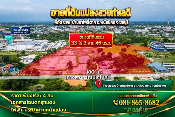 ขายที่ดินผืนใหญ่ 33 ไร่ 3 งาน 46 ตร.ว. แปลงสวย ทำเลดี พนัสนิคม ชลบุรี เหมาะสร้างบ้าน-ลงทุน