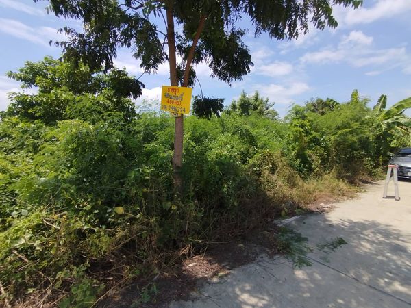 Land for sale, 400 sq m., along Klong Kamnan Chuen Road. Soi Wat Sao Niwong, Sai Noi, Nonthaburi